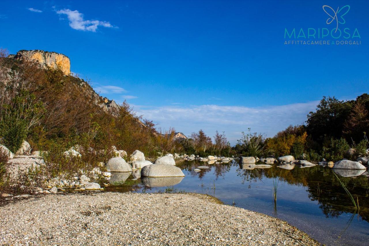 Affittacamere Mariposa Dorgali Buitenkant foto